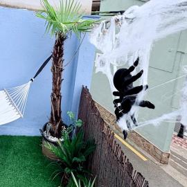 Duplex Terra - Valle de Ayora, hotelli kohteessa Jalance