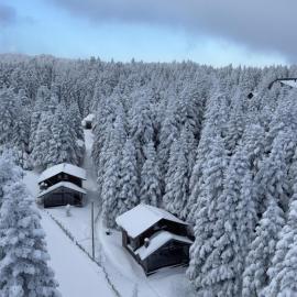 Uludag Orman Koskleri, hotel en Uludag
