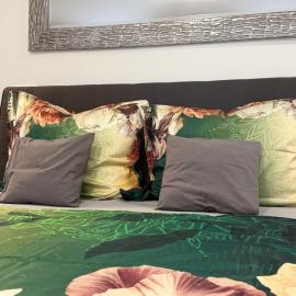 Apartment right in the center of Brno