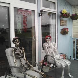 Yeolde 3 BEDROOM country View seashack cottage FREE ALL ELECTRIC HALLOWEEN SPECIAL BOOK TODAY BRING YOUR DOG ENJOY