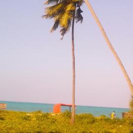 Green View Bungalow