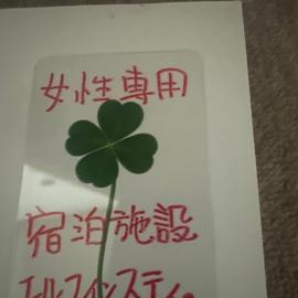 エルフィンスティ