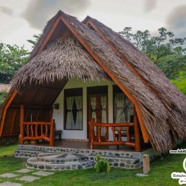 Jungle Dreams Bungalows & Trekking