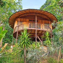 Junglebungalow