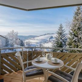 Fewo Tannzäpfle mit Sauna im Haus und Bergblick - Nähe Skilift und Loipe, E-Ladestation