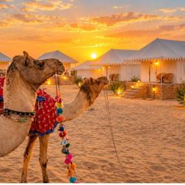 Royal Jaisalmer Resort with Swimming Pool, hotel u gradu Džaisalmer