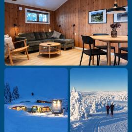 Nordseter में, होटल Nordseter Fjellpark, Hyttegrend
