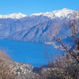 La Casa tra i boschi con vista lago