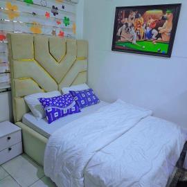 Luxury Guest Room & Parlour with Solar-Inverter Backup