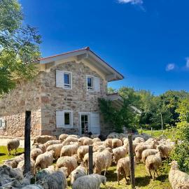 Ferme Ihartzetako, hotell i Ascain