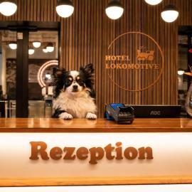 Linz में, होटल Hotel Lokomotive