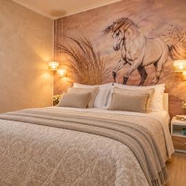 Villa Capitis in the Centre- Luxury Apartment with Swimming Pool
