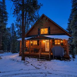 Mountain Log Home-Among Lodgepole Pines