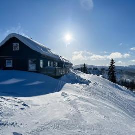 Lekker og usjenert hytte mot skogen med alpinbakken rett utenfor