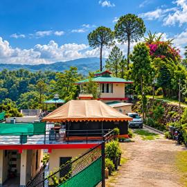 Patial Home Stay in Kasauli