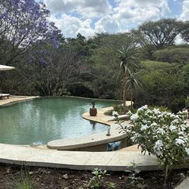 Dolly Farm & River Camp, Luxury Tents