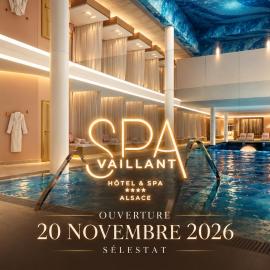 Hôtel Restaurant Vaillant -ouverture Spa de 2000m2 -19 novembre 2026, hotel in Sélestat