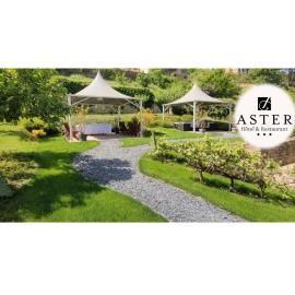 Hôtel Aster Restaurant Aux Arcades, hotel em Briey