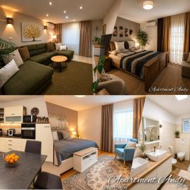 Apartment Andy