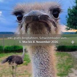 Blickfang Bregenzerwald