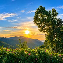 Dawn View Home Stay