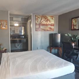 North - King Bed Hotel Studio 218