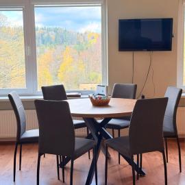 Līgatne Forest View Apartment