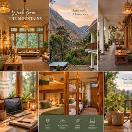 The Woods - Tirthan Valley