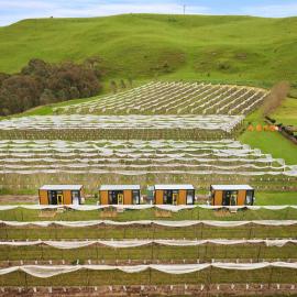 Orchard Wanderer by Tiny Away, hotell sihtkohas Darraweith Guim