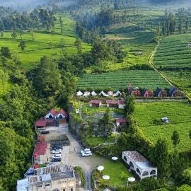 Dieng Latar Alam Tambi Syariah, hotel in Kejajar