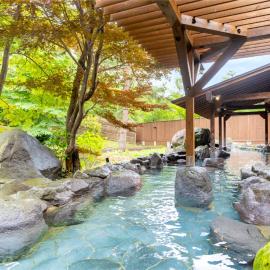 Ooedo Onsen Monogatari Premium Matsunoi, отель в городе Минаками