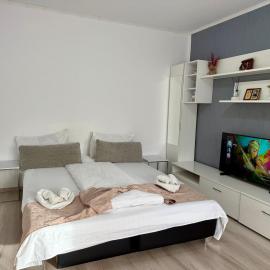 Apartament Dya HATEG 9, ξενοδοχείο σε Haţeg