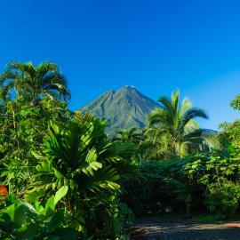 Arenal Rainforest