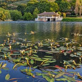 The Boathouse at Oakhurst Olives