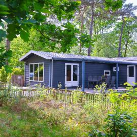 Ons plekje in het bos