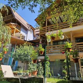 Pensiunea Aurora - Great hostel Voineasa
