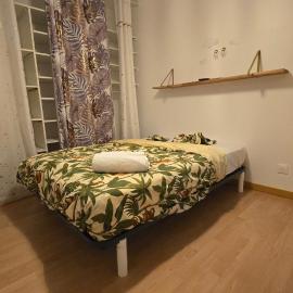 Maison avec jardin pres d'Airbus - Colomiers