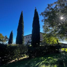 Il Nido tra le vigne Giardino privato e piscina