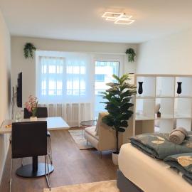 Olten Metro Suite I Parking I 5G I Railway Station