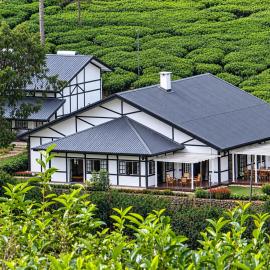 Powysland Bungalow