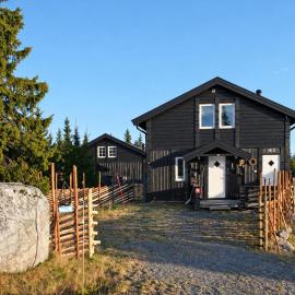Amazing Home In Sjusjøen With Wifi