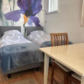 Studio in rietgedekte boerderij, geheel privé, hond vriendelijk