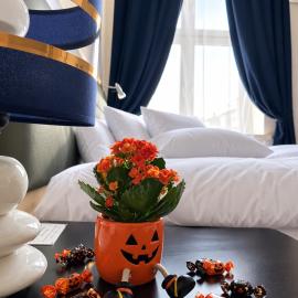 BedRooms Piotrkowska 64