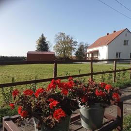 Family Farm