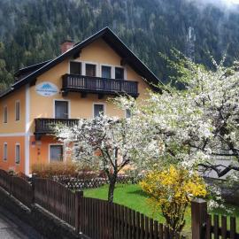 Säuleck Appartement mit Kärntencard