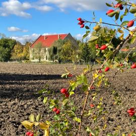 Appartment Schafstall - nah an Erfurt und Weimar, hotel em Wundersleben