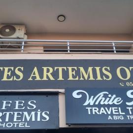 Efes Artemis Hotel، فندق في سلجوك