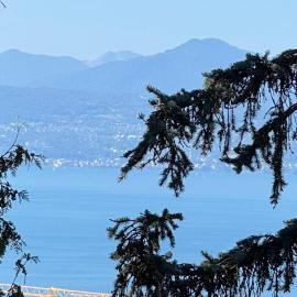 Le Cocon du Léman Jardin et Vue Lac