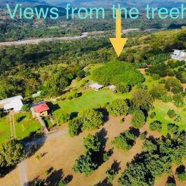 Tree house El Higueron, hotell i San Roque