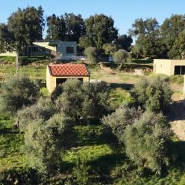 Terras do Salvado - Nature Retreat